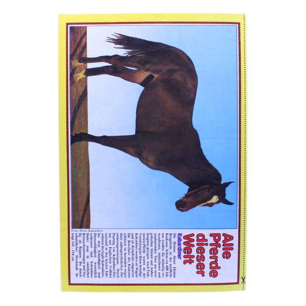 Conny Comic Nr. 96 1982 Bastei kaufen | Pferde Mädchen Comic | hoppla-stuff.de